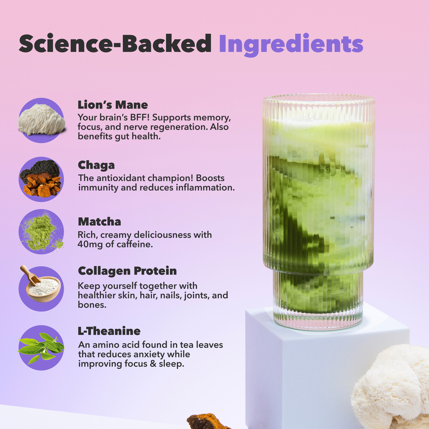 90-servings-mushroom-matcha-x7 custom_resized_386f63f8-0691-449c-9e51-462fed6c0033.png